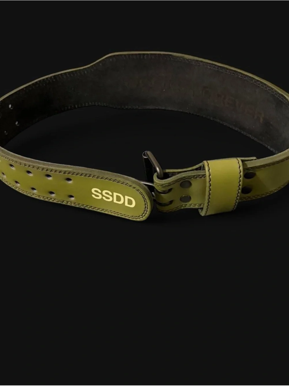 💪 Darc Sport SSDD Weight Belt –Sage (Medium)🐺